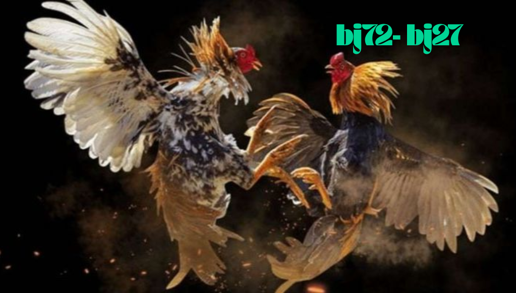 Các Bước Để Đăng Nhập Tài Khoản Nhà Cái BJ72-BJ27