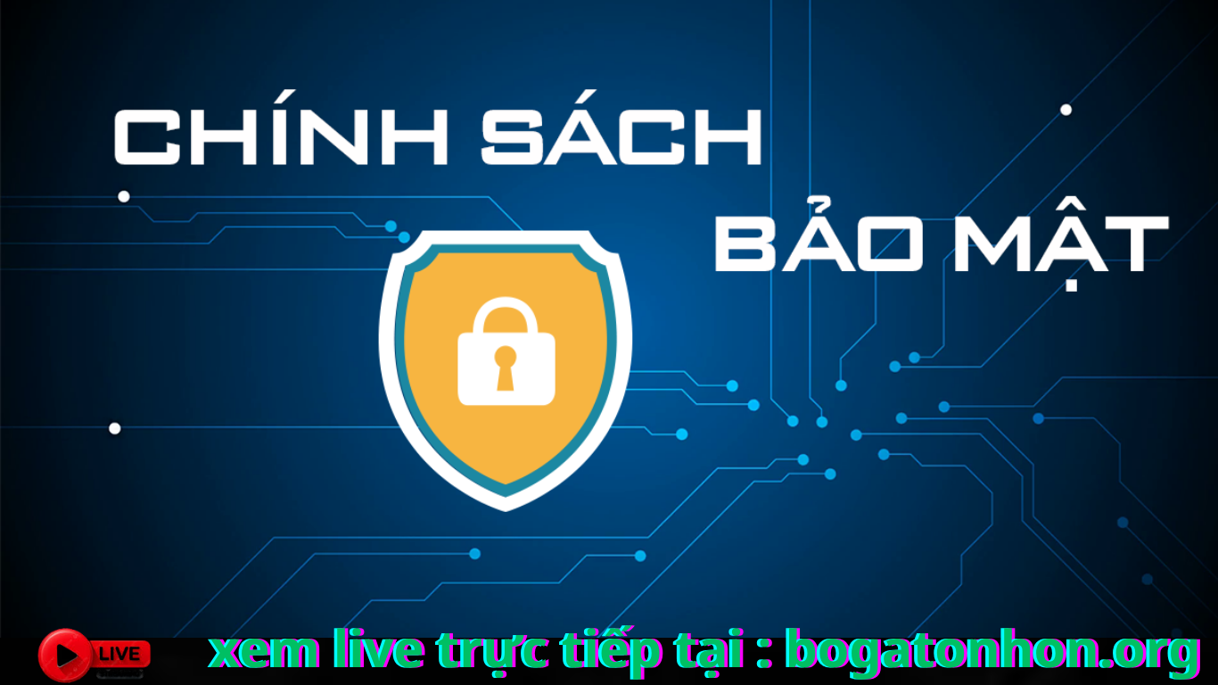 Tại Sao Kênh Live ĐÁ GÀ BJ72.VIN Tại Nhà Cái BJ72 Lại Thu Hút Người Tham Gia?