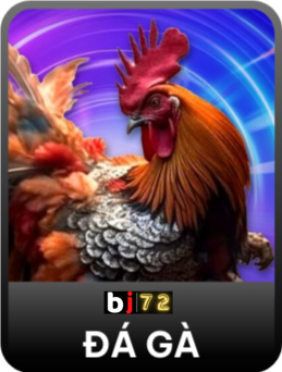 Sảnh đá gà BJ72