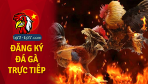  ĐĂNG KÝ tài khoản đá gà thomo nhà cái bj72 - bj27 số 1 việt nam