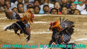 Link Đăng Vào Nhà Cái BJ72 Mới Nhất Không Bị Chặn Hành Trình Khám Phá Thế Giới Cờ Bạc An Toàn